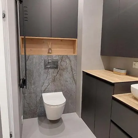 Noho - W Samym Centrum Katowic, Klasa Premium, Silownia, Sauna, Sala Kinowa,garaz * 卡托维兹