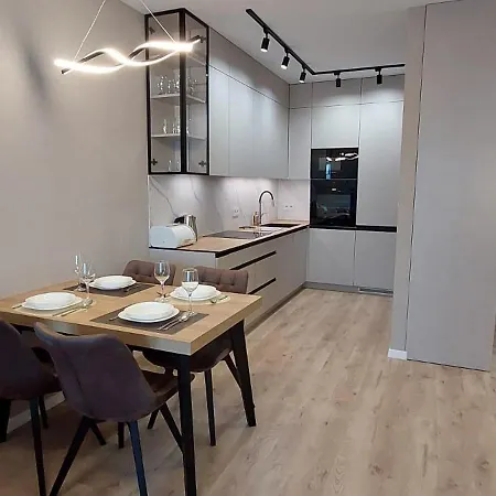 Noho - W Samym Centrum Katowic, Klasa Premium, Silownia, Sauna, Sala Kinowa,garaz 公寓 *